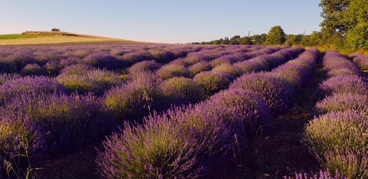 Manoir Le Bourg, Touffailles 빌라 외부 사진